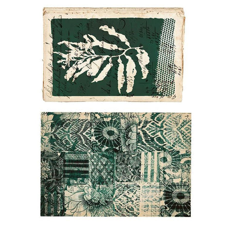 Algae - Prima Decor Transfer